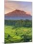 Indonesia, Bali, Redang, View of Rice Terraces and Gunung Agung Volcano-Michele Falzone-Mounted Photographic Print