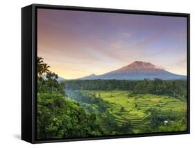 Indonesia, Bali, Redang, View of Rice Terraces and Gunung Agung Volcano-Michele Falzone-Framed Stretched Canvas