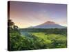 Indonesia, Bali, Redang, View of Rice Terraces and Gunung Agung Volcano-Michele Falzone-Stretched Canvas