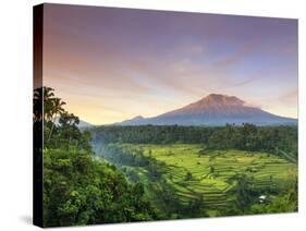 Indonesia, Bali, Redang, View of Rice Terraces and Gunung Agung Volcano-Michele Falzone-Stretched Canvas