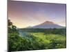 Indonesia, Bali, Redang, View of Rice Terraces and Gunung Agung Volcano-Michele Falzone-Mounted Premium Photographic Print