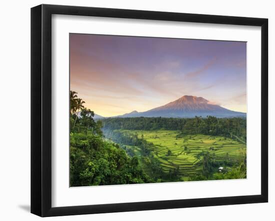 Indonesia, Bali, Redang, View of Rice Terraces and Gunung Agung Volcano-Michele Falzone-Framed Photographic Print