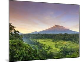 Indonesia, Bali, Redang, View of Rice Terraces and Gunung Agung Volcano-Michele Falzone-Mounted Photographic Print