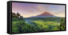 Indonesia, Bali, Redang, View of Rice Terraces and Gunung Agung Volcano-Michele Falzone-Framed Stretched Canvas