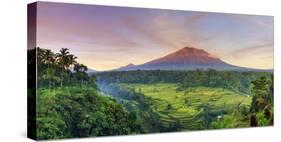 Indonesia, Bali, Redang, View of Rice Terraces and Gunung Agung Volcano-Michele Falzone-Stretched Canvas