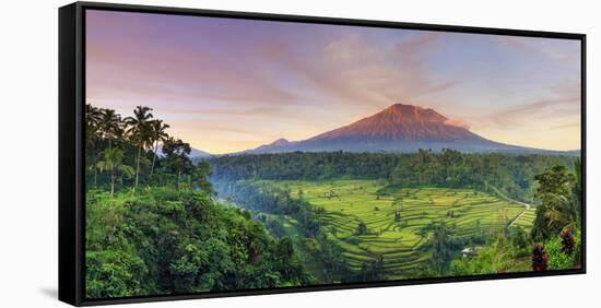 Indonesia, Bali, Redang, View of Rice Terraces and Gunung Agung Volcano-Michele Falzone-Framed Stretched Canvas