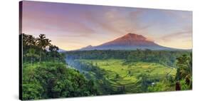 Indonesia, Bali, Redang, View of Rice Terraces and Gunung Agung Volcano-Michele Falzone-Stretched Canvas