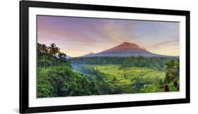 Indonesia, Bali, Redang, View of Rice Terraces and Gunung Agung Volcano-Michele Falzone-Framed Photographic Print