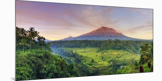 Indonesia, Bali, Redang, View of Rice Terraces and Gunung Agung Volcano-Michele Falzone-Mounted Photographic Print