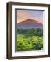 Indonesia, Bali, Redang, View of Rice Terraces and Gunung Agung Volcano-Michele Falzone-Framed Photographic Print