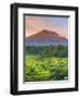 Indonesia, Bali, Redang, View of Rice Terraces and Gunung Agung Volcano-Michele Falzone-Framed Premium Photographic Print