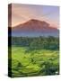 Indonesia, Bali, Redang, View of Rice Terraces and Gunung Agung Volcano-Michele Falzone-Stretched Canvas