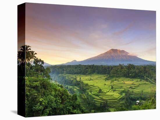 Indonesia, Bali, Redang, View of Rice Terraces and Gunung Agung Volcano-Michele Falzone-Stretched Canvas