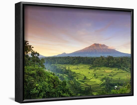 Indonesia, Bali, Redang, View of Rice Terraces and Gunung Agung Volcano-Michele Falzone-Framed Photographic Print