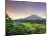 Indonesia, Bali, Redang, View of Rice Terraces and Gunung Agung Volcano-Michele Falzone-Mounted Photographic Print