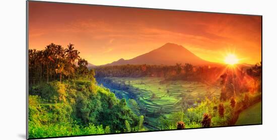 Indonesia, Bali, Redang, View of Rice Terraces and Gunung Agung Volcano-Michele Falzone-Mounted Photographic Print