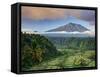 Indonesia, Bali, Rendang Rice Terraces and Gunung Agung Volcano-Michele Falzone-Framed Stretched Canvas