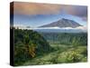 Indonesia, Bali, Rendang Rice Terraces and Gunung Agung Volcano-Michele Falzone-Stretched Canvas