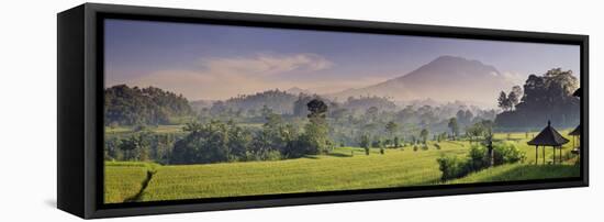 Indonesia, Bali, Sidemen, Iseh, Rice Fields and Gunung Agung Volcano-Michele Falzone-Framed Stretched Canvas