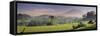 Indonesia, Bali, Sidemen, Iseh, Rice Fields and Gunung Agung Volcano-Michele Falzone-Framed Stretched Canvas