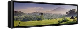 Indonesia, Bali, Sidemen, Iseh, Rice Fields and Gunung Agung Volcano-Michele Falzone-Framed Stretched Canvas