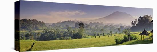 Indonesia, Bali, Sidemen, Iseh, Rice Fields and Gunung Agung Volcano-Michele Falzone-Stretched Canvas