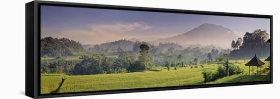 Indonesia, Bali, Sidemen, Iseh, Rice Fields and Gunung Agung Volcano-Michele Falzone-Framed Stretched Canvas