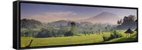 Indonesia, Bali, Sidemen, Iseh, Rice Fields and Gunung Agung Volcano-Michele Falzone-Framed Stretched Canvas