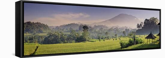 Indonesia, Bali, Sidemen, Iseh, Rice Fields and Gunung Agung Volcano-Michele Falzone-Framed Stretched Canvas