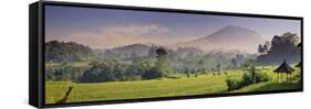 Indonesia, Bali, Sidemen, Iseh, Rice Fields and Gunung Agung Volcano-Michele Falzone-Framed Stretched Canvas