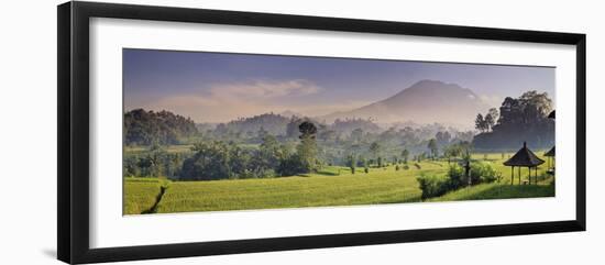 Indonesia, Bali, Sidemen, Iseh, Rice Fields and Gunung Agung Volcano-Michele Falzone-Framed Premium Photographic Print