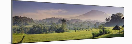 Indonesia, Bali, Sidemen, Iseh, Rice Fields and Gunung Agung Volcano-Michele Falzone-Mounted Photographic Print