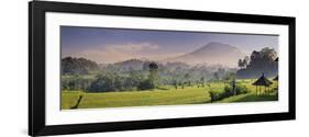 Indonesia, Bali, Sidemen, Iseh, Rice Fields and Gunung Agung Volcano-Michele Falzone-Framed Photographic Print