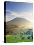 Indonesia, Bali, Sidemen Valley, Iseh, Rice Fields and Gunung Agung Volcano-Michele Falzone-Stretched Canvas