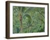 Indonesia, Bali, Ubud. Bali rainforest-Terry Eggers-Framed Photographic Print