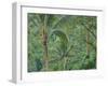 Indonesia, Bali, Ubud. Bali rainforest-Terry Eggers-Framed Photographic Print