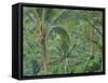 Indonesia, Bali, Ubud. Bali rainforest-Terry Eggers-Framed Stretched Canvas