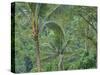 Indonesia, Bali, Ubud. Bali rainforest-Terry Eggers-Stretched Canvas