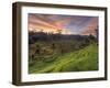 Indonesia, Bali, Ubud, Ceking Rice Terraces-Michele Falzone-Framed Photographic Print