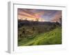 Indonesia, Bali, Ubud, Ceking Rice Terraces-Michele Falzone-Framed Photographic Print