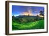 Indonesia, Bali, Ubud, Ceking Rice Terraces-Michele Falzone-Framed Photographic Print