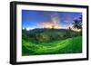 Indonesia, Bali, Ubud, Ceking Rice Terraces-Michele Falzone-Framed Photographic Print