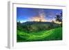 Indonesia, Bali, Ubud, Ceking Rice Terraces-Michele Falzone-Framed Photographic Print