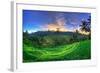 Indonesia, Bali, Ubud, Ceking Rice Terraces-Michele Falzone-Framed Photographic Print