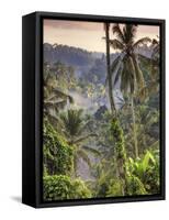 Indonesia, Bali, Ubud, Landscape Around the Campuhan Ridge Walk-Michele Falzone-Framed Stretched Canvas