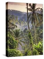 Indonesia, Bali, Ubud, Landscape Around the Campuhan Ridge Walk-Michele Falzone-Stretched Canvas