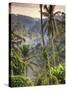 Indonesia, Bali, Ubud, Landscape Around the Campuhan Ridge Walk-Michele Falzone-Stretched Canvas