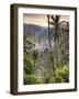 Indonesia, Bali, Ubud, Landscape Around the Campuhan Ridge Walk-Michele Falzone-Framed Photographic Print