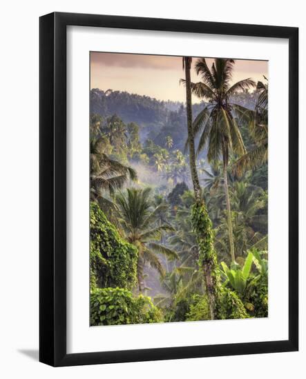 Indonesia, Bali, Ubud, Landscape Around the Campuhan Ridge Walk-Michele Falzone-Framed Photographic Print