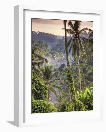 Indonesia, Bali, Ubud, Landscape Around the Campuhan Ridge Walk-Michele Falzone-Framed Photographic Print